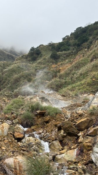 漫遊陽明山2951925