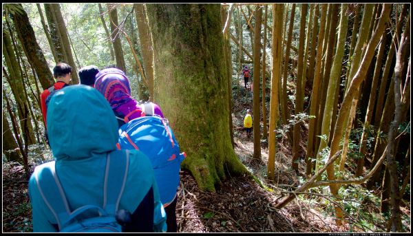 馬望僧侶山、泰平山、李棟山古堡、李棟山莊324435