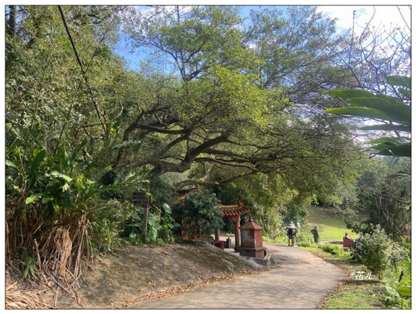 草嶺山、白石山、頭寮山 六連峰 O型路線2798522