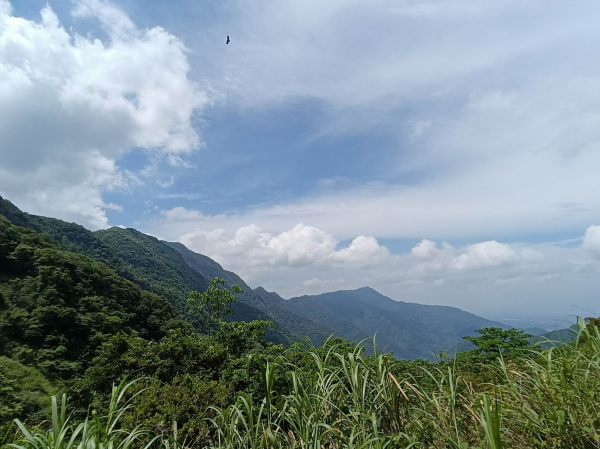 屏東德文山稜線之冷門-北德文山與北德文山西峰(西北峰)