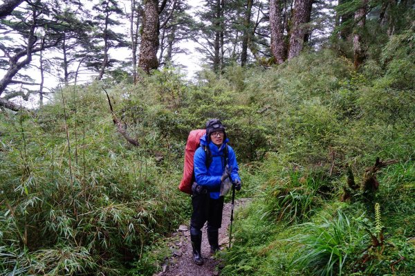 花蓮秀林鄉 奇萊主北 (成功山屋撤退篇)1052757