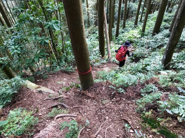 南庄向天湖環山步道256154