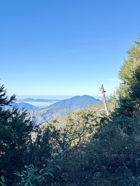 南投仁愛鄉基石巡禮-櫻櫻峰東北峰.清境山.岬山.關頭山北峰  2024.11.112651690