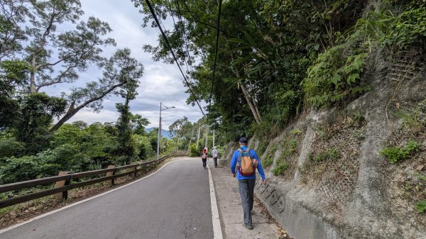 115.05.23枕頭山-枕頭山西峰-薑母島之旅3061261