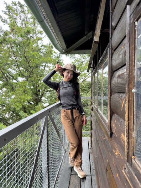 鳶嘴山-稍來山O型縱走(中級山 / 小百岳) 刺激攀岩。山嵐繚繞。傳神小象。杉樹林群。2583549