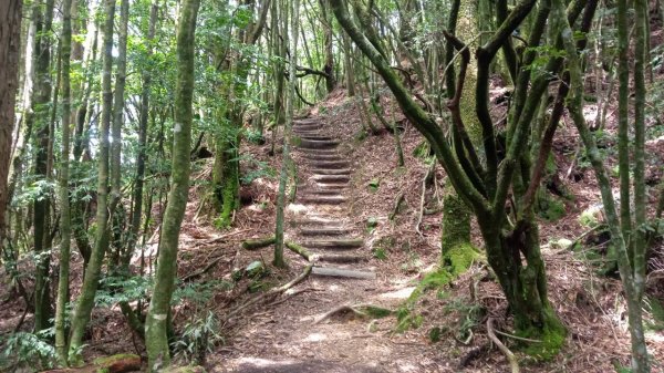 20220910稍來小雪山步道-鞍馬山支線1839357