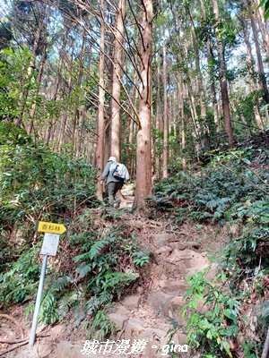 【台中和平】山林野餐。長壽山(肥崠山)山徑2969433
