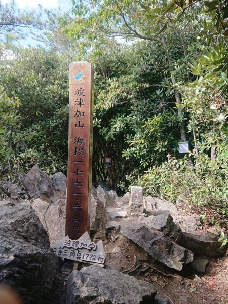 谷關七雄之四～波津加山1281730