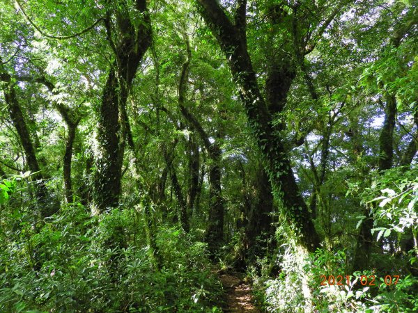 臺東 東河 都蘭山1262088