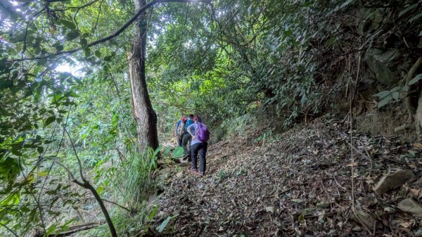 九份二山步道2861242