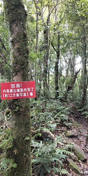 內鳥嘴山，北得拉曼神木群步道，瀑布初體驗1062669