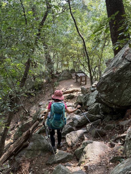 波津加山 202509142893391