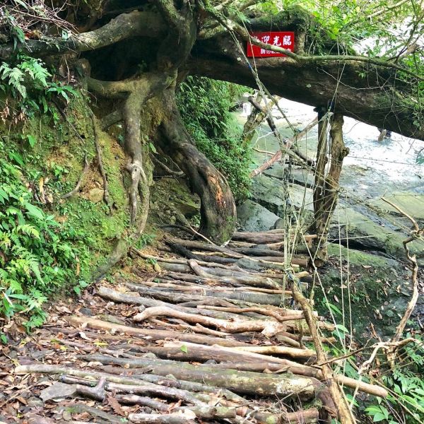 三峽雲森瀑布386463