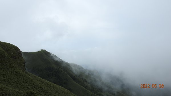 雲山水花鳥蝶 - 天龍國阿伯的日常5/61705609