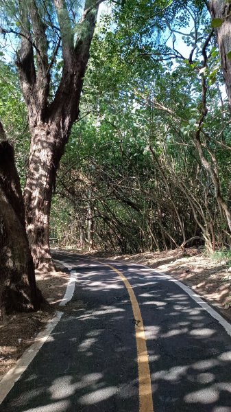 南山神壽：竹南海濱森林步道1901522