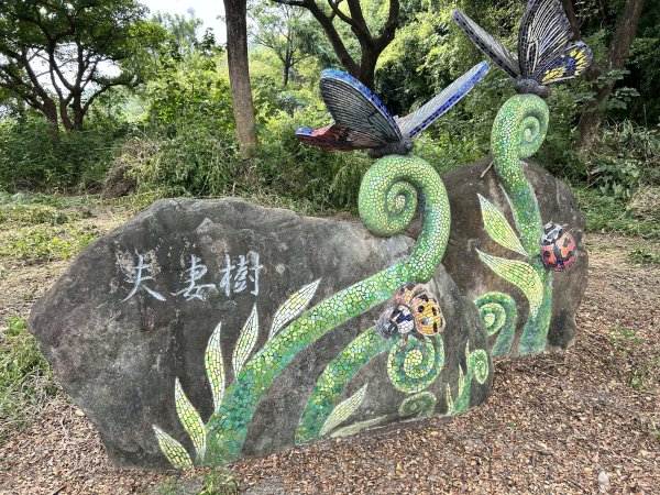 小崗山健行步道2909435