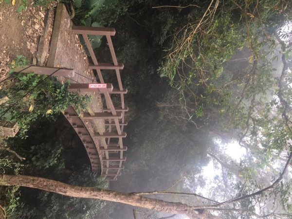 龍麟山步道（王爺崙2703643