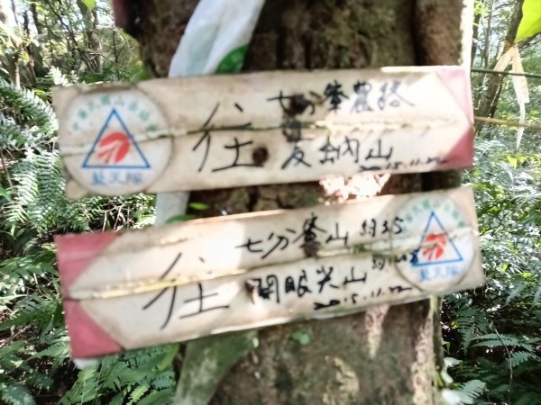 基隆市/萬里區界寮縱走之三界山+三界山西峰+開眼尖山+七分寮山+瑪七產道山泉水接水亭2979606