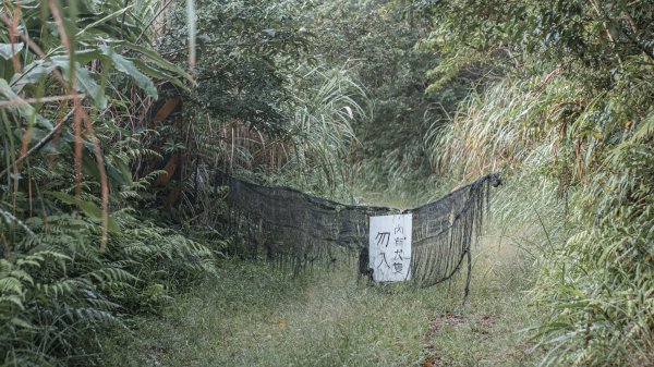 探訪台北溪流之美｜桶後越嶺古道（礁溪-烏來）2911741