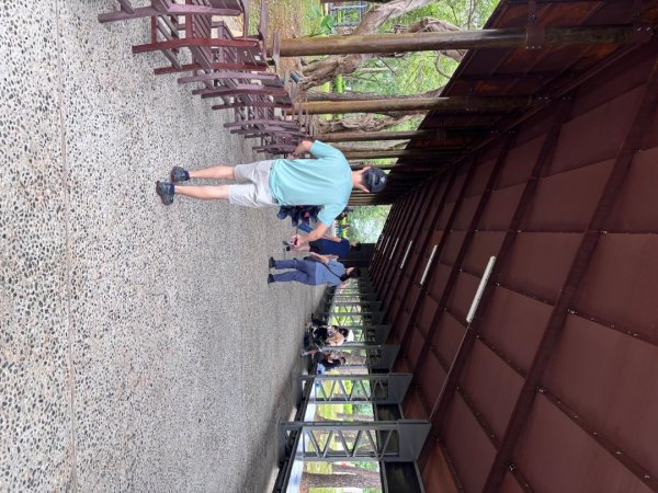 20250720大湳森林公園2843924