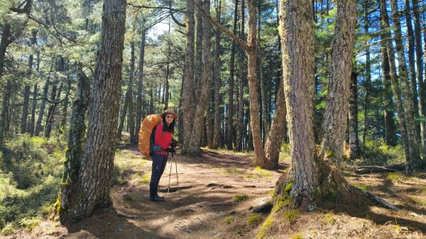 中央尖山四天20260412~153037969