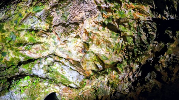 地心年輪之飛驒大鐘乳石洞2982443