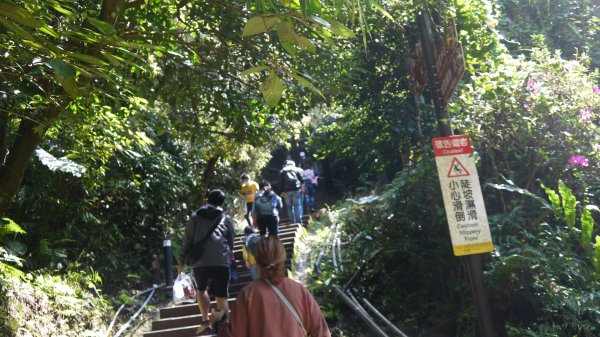 觀音山登山健行趣(小百岳05號)1632336