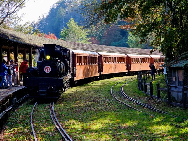台灣難抵極與祝山觀日步道(小笠原山) - 2024嘉遊好步道．來嘉走走2670109