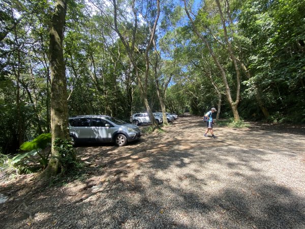 《探訪熊空秘境｜新北三峽雲森瀑布沁涼體驗》2878459