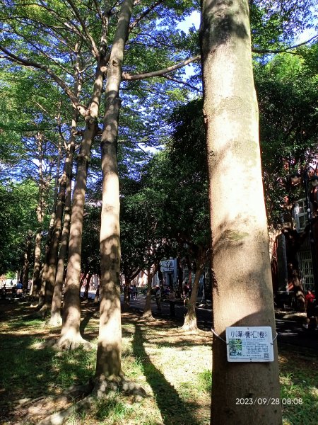 師大公園、師大本部 (國立臺灣師範大學和平校區) 【走路趣尋寶、健康大穀東】2298586