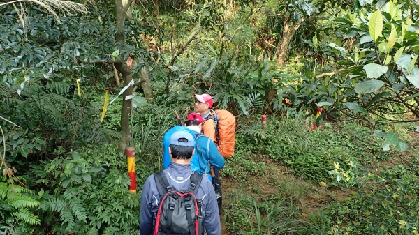 北部三大縱走之界寮大縱走50162