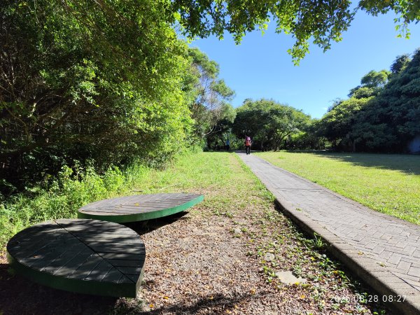 翠山步道、大崙頭尾山親山步道【臺北健走趣】2874303