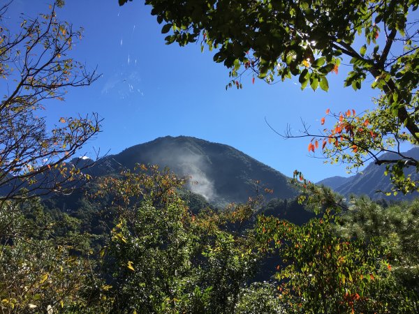 20161119_谷關七雄之四-波津加山873758