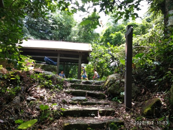 步道巡訪員 l 崁頭山步道巡訪員8月份巡禮1054227