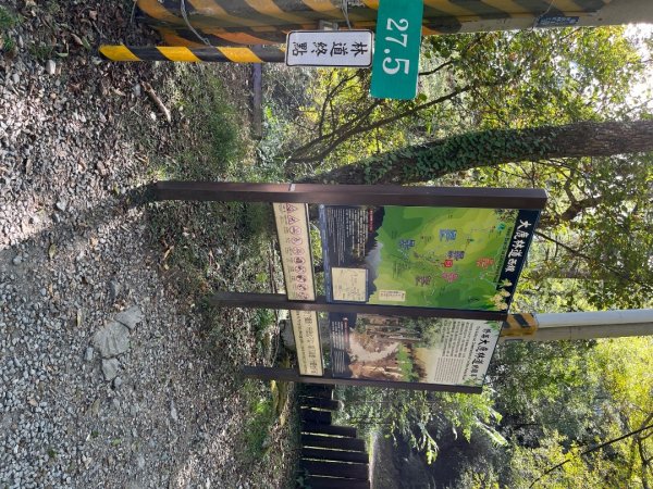 20231127_觀霧榛山步道（森遊竹縣）2763088