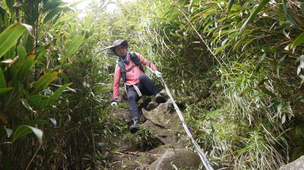 小觀音山登山健行趣(郊山)1680226