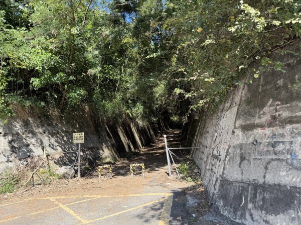 2025_1018 花蓮山步道2921256