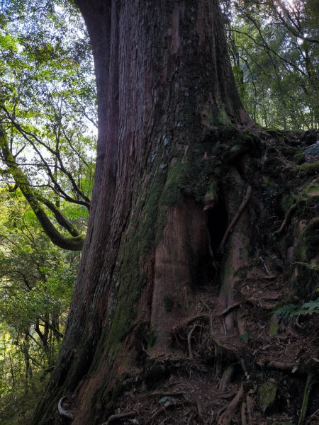 2026-02-09 庫哈諾辛山2999031