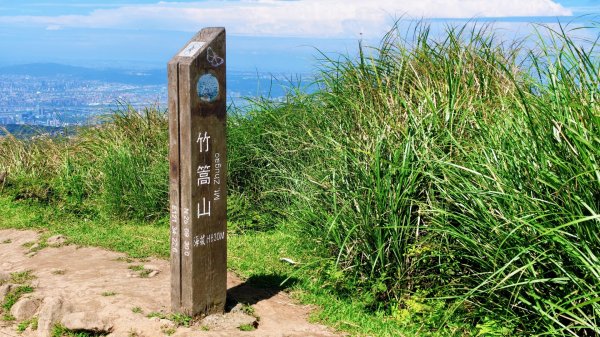 陽明山擎天崗環形步道｜竹篙山・金包里大路城門｜草原與古道的兩小時健行紀錄