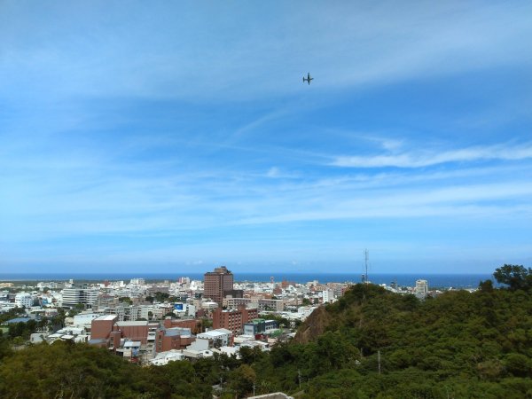 步道巡訪員 l 鯉魚山步道七月巡訪日誌1050321