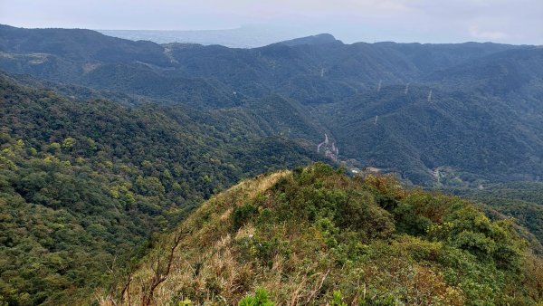 坪林區碧湖宮-四堵崙-四堵山-護管所遺址O型2081774