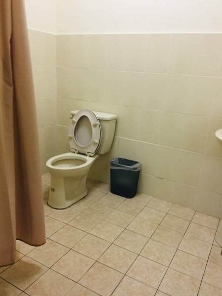 猴子就是愛爬山(奇萊南華)#5.6567208