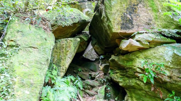 大邱田石門洞2856210