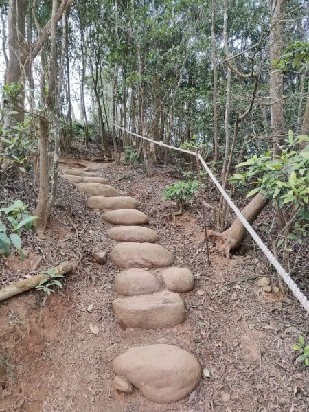 1140206火炎山3097957