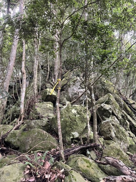 東河線上鵝公髻山，至鳥嘴山後下大窩山部落 2024.8.182577500