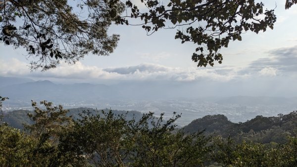 飛鳳山 中坑山2046331