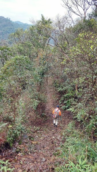 基隆八上七下縱走2785130