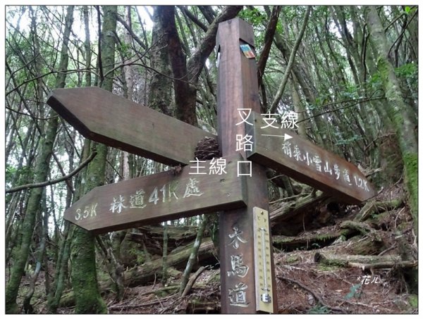 鞍馬山、鞍馬山東北峰(台中/和平)1653606