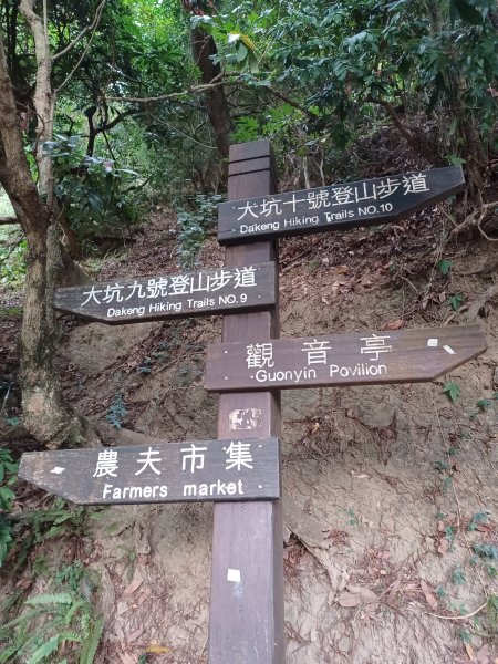 【台中北屯】台中大坑九號步道2933010