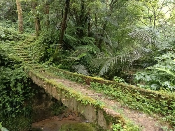 平溪區善覺寺古道(步道)去回2855372